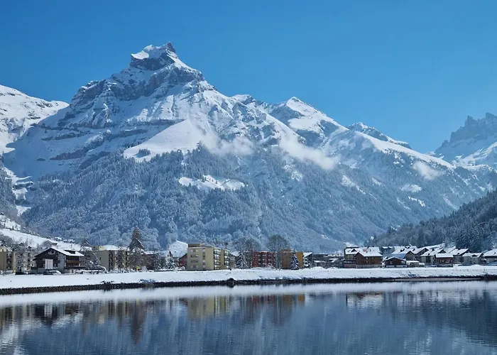 Erlenrain 911 By Interhome Apartment *